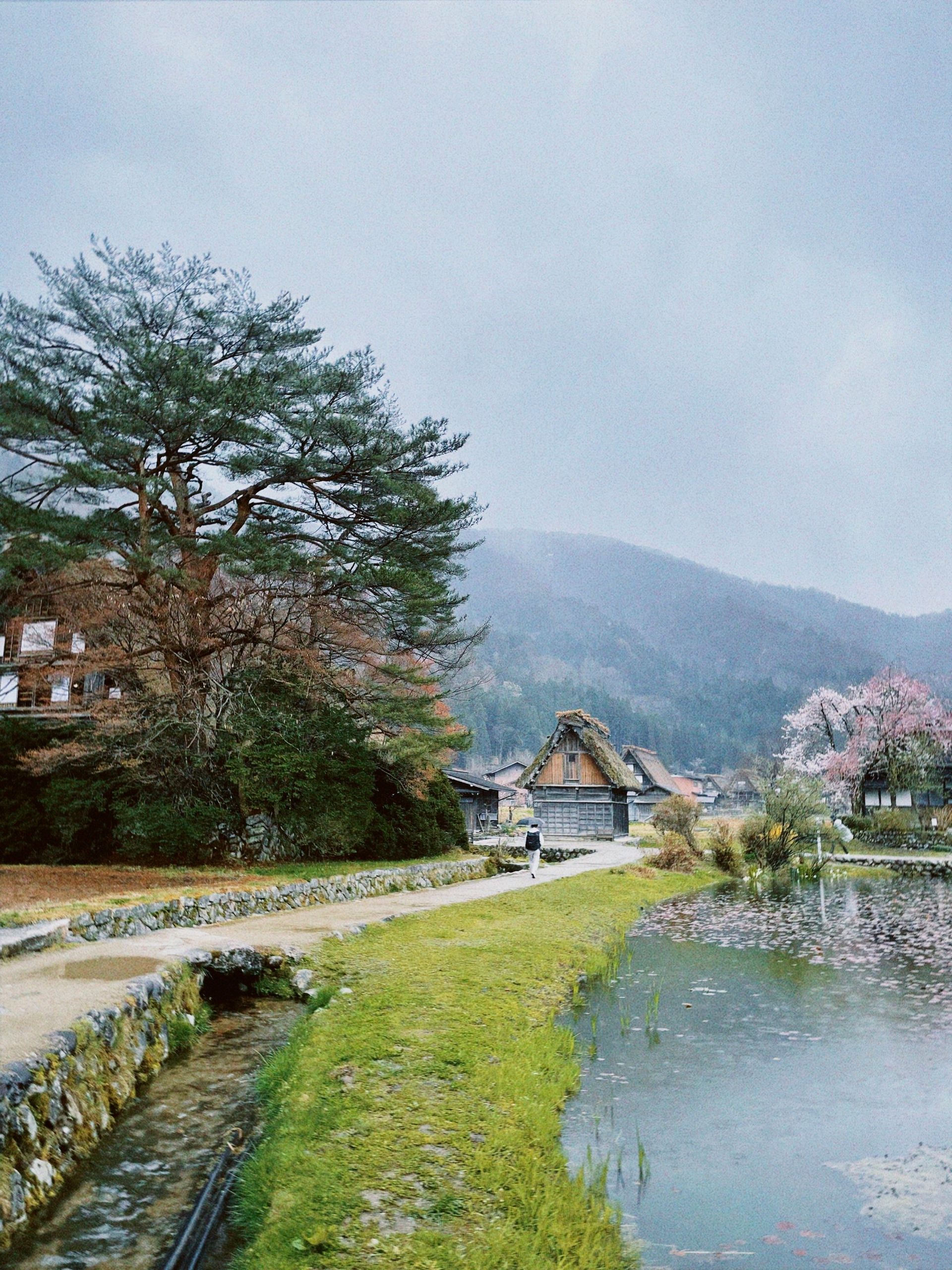 Scenic view of a tranquil Japanese village with traditional homes and serene landscape. Shirakawa- Go Japan